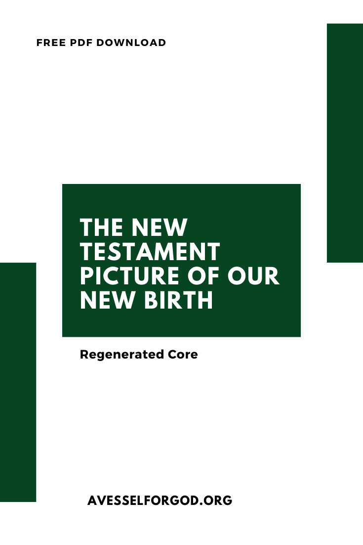 The New Testament Picture of the New Birth- header