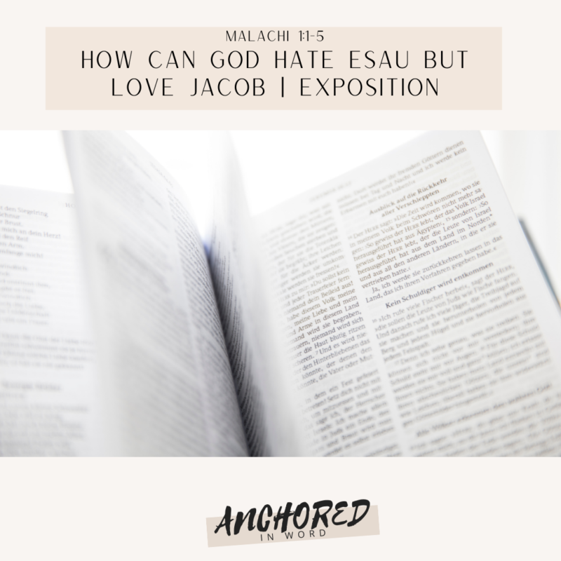 How can god hate esau but love jacob