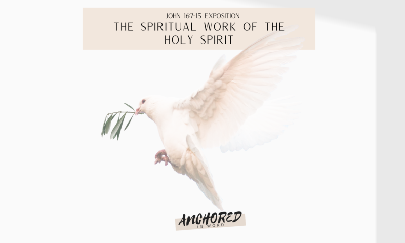 The roles of the Holy Spirit through the Church explained from John 6:7-15.